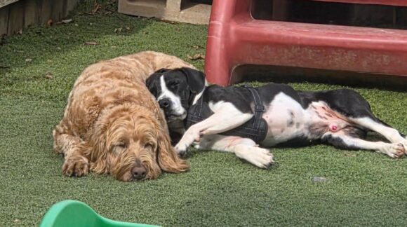 Daycare