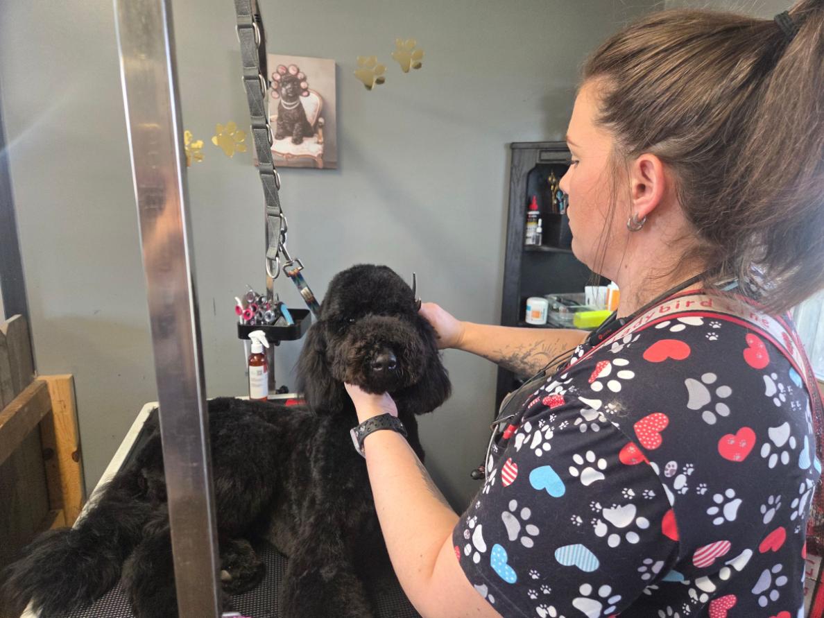 Veterinary technician on staff at The Paw Spa of Vilonia